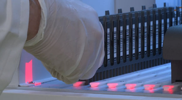 ALEGRIA2-DX-ANNAR-IMAGEN05