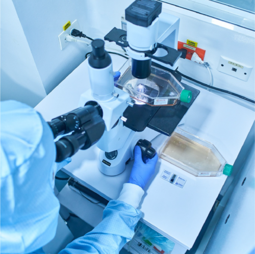 ANNAR-Medicina-Regenerativa-Plasma-Lisado-Plaquetas-Celulas-mesenquimales-04