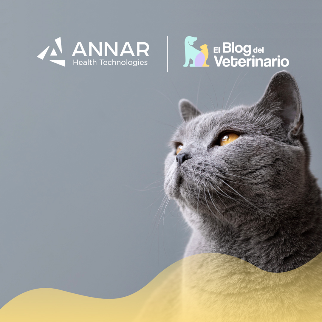 ANNAR-SALUD-ANIMAL-Virus-de-Inmunodeficiencia-Felina-MINIATURA