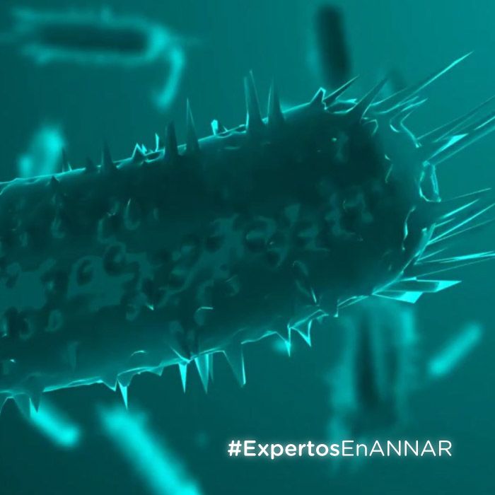 ANTIBIOTICOS-RESISTENCIA-ANNAR