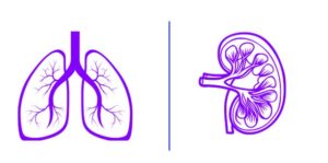 Acidosis – Alcalosis