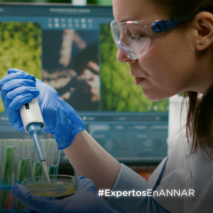 Annar-DX-Nuevos-patrones-AC-XX-que-debes-reconocer-Articulo-web-Miniatura
