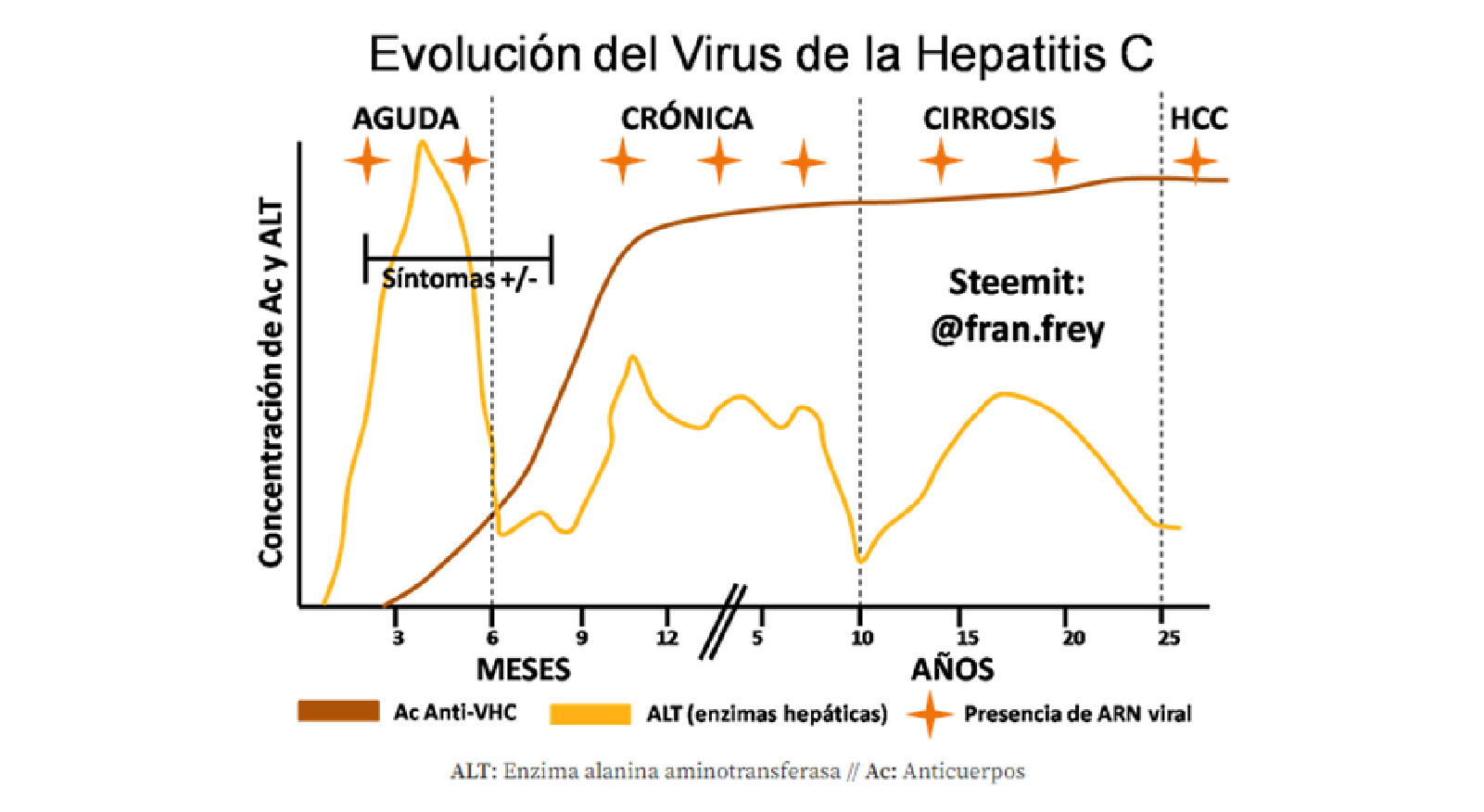Que Detecta Vhc Importancia del Diagnóstico Oportuno de la Coinfección por VHC en ...