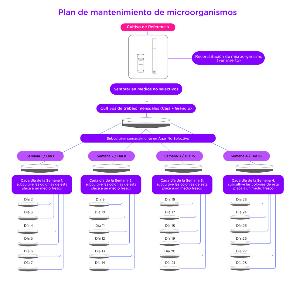 Para terminar:
•	Después de la cuarta semana, descarte las placas de cultivos y empiece una vez más el proceso con un nuevo gránulo liofilizado.
•	Un microorganismo puede ser utilizado después de la fecha de vencimiento si: (1) el gránulo liofilizado fue reconstituido antes de su fecha de vencimiento, y (2) el microorganismo no se usa después de la cuarta semana del programa de mantenimiento.
