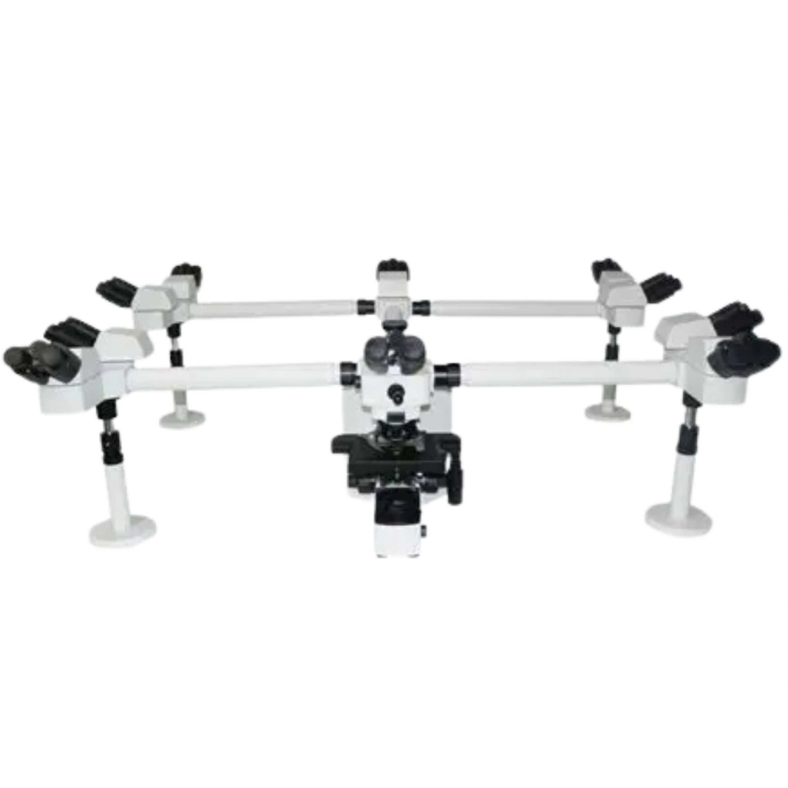 MICROSCOPIO LAB 40 MULTICABEZAS_DX Patología_ANNAR_2