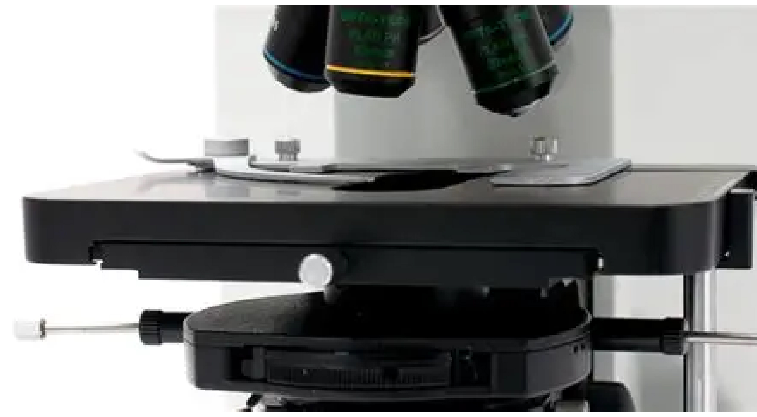 MICROSCOPIO LAB 40 MULTICABEZAS_DX Patología_ANNAR_4