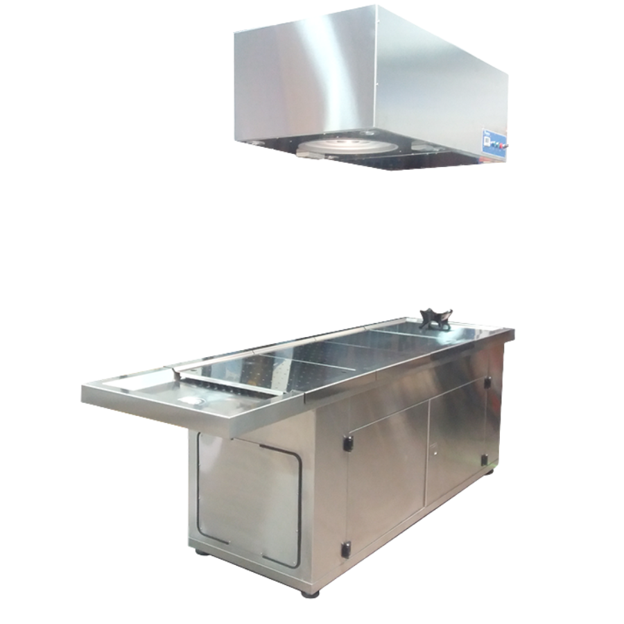 PLENUM-DX PATOLOGÍA-ANNAR-3