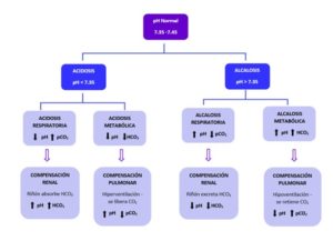 Resultados de Gases Sanguíneos