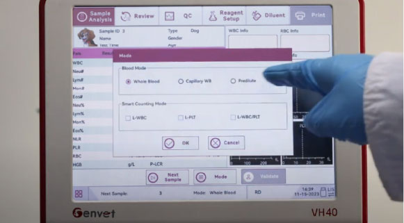 VH-40-DX-ANNAR-IMAGEN05