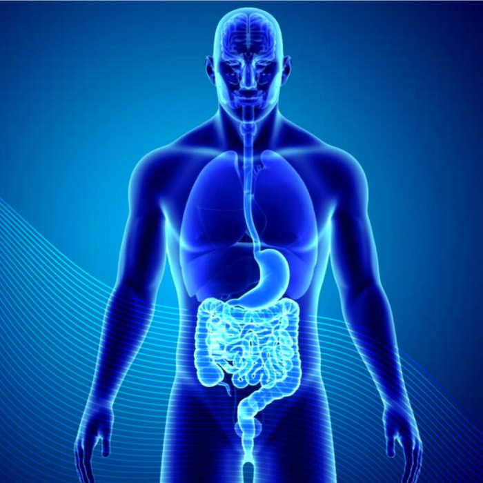 La enfermedad inflamatoria intestinal (EII) se define como un trastorno constituido por dos entidades clínicas diferentes: la colitis ulcerosa (CU) y la enfermedad de Crohn (EC). El denominador común es la presencia de inflamación crónica a nivel intestinal, que suele acompañarse de manifestaciones extradigestivas.