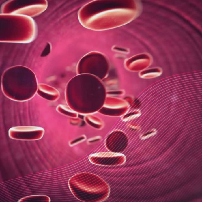 Los hemocultivos son el procedimiento diagnóstico en el que la muestra de sangre del paciente se recolecta en un frasco de cultivo, el cual contiene los nutrientes específicos, permitiendo su pronta recuperación y detección de la presencia de microorganismos en el torrente sanguíneo