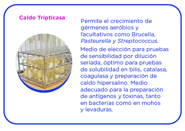 Los medios de cultivo líquidos se utilizan preferiblemente para favorecer el desarrollo bacteriano de células estresadas. 
En determinadas ocasiones no se pueden sustituir por los medios sólidos, 
por ejemplo, en la síntesis de exotoxinas, pigmentos, enzimas, etc.
