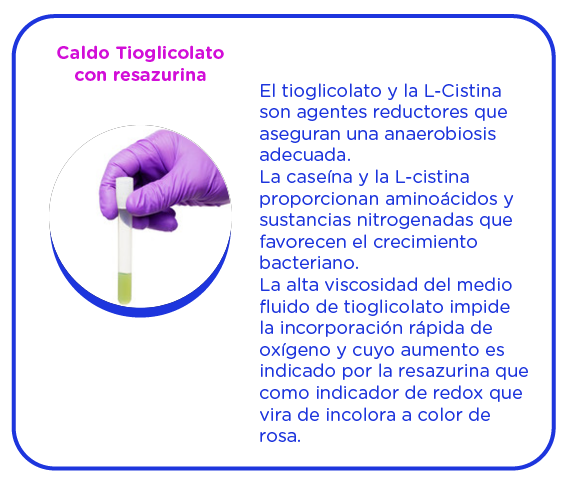 Los medios de cultivo líquidos se utilizan preferiblemente para favorecer el desarrollo bacteriano de células estresadas. 
En determinadas ocasiones no se pueden sustituir por los medios sólidos, 
por ejemplo, en la síntesis de exotoxinas, pigmentos, enzimas, etc.
