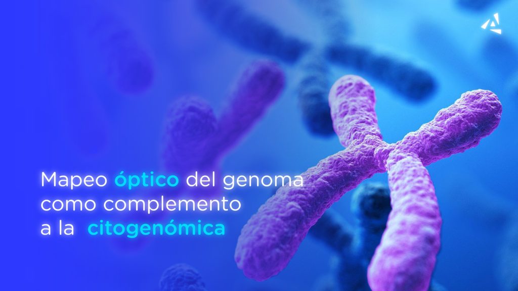 ¿Conoces el impacto que tiene el mapeo óptico del genoma como complemento a la citogenómica?