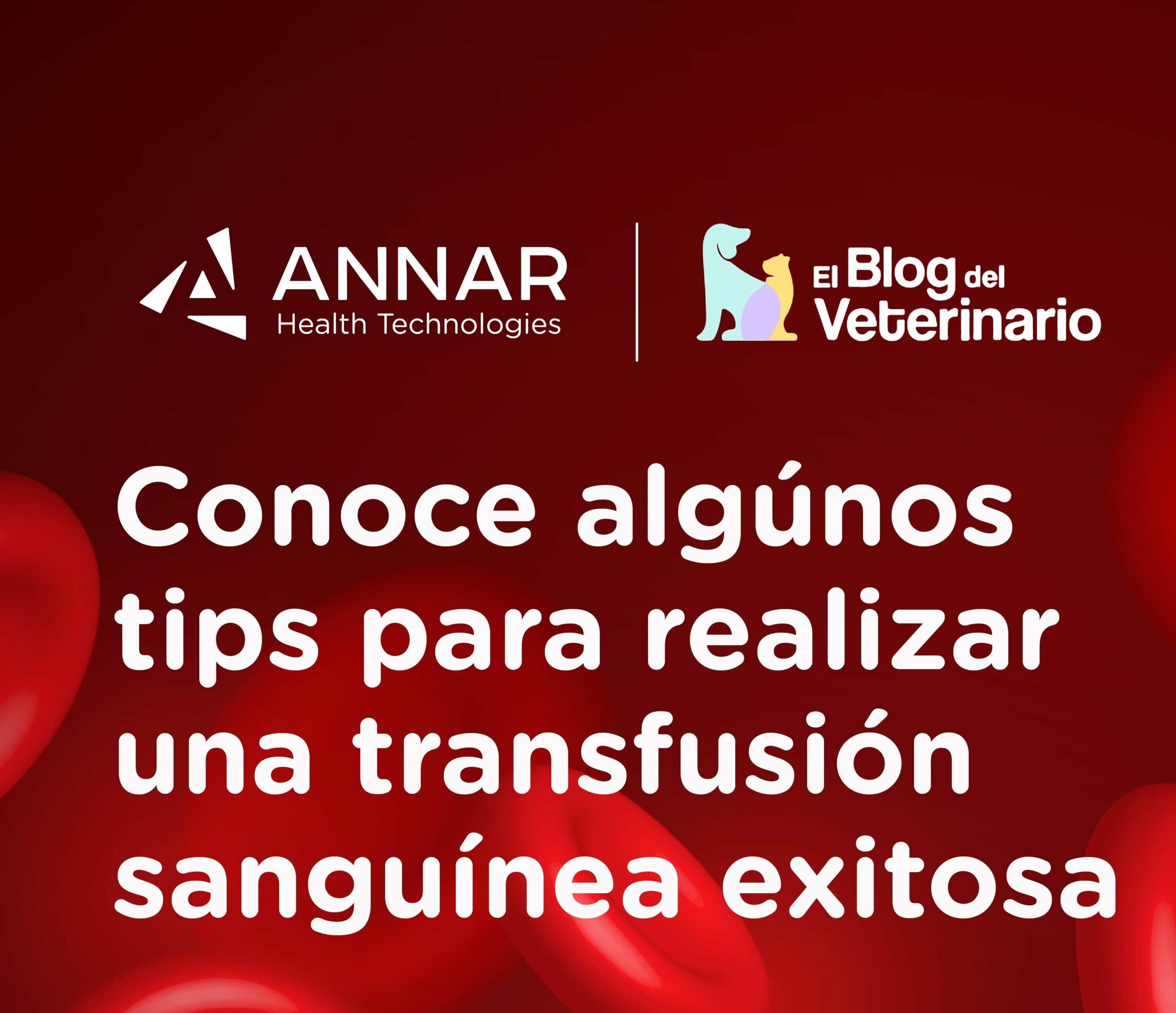 Tips para realizar una transfusión sanguínea exitosa