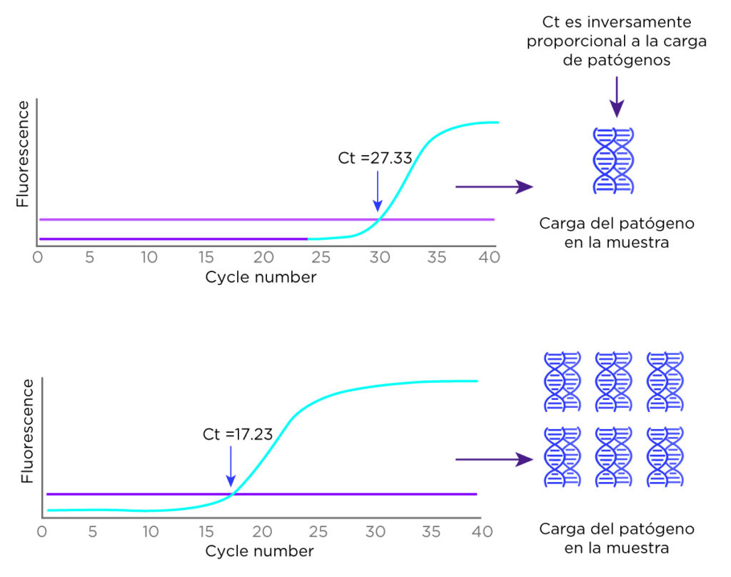 El diagnóstico sindrómico por PCR multiplex en tiempo real puede aportar más información con el valor del Ct, para la toma de decisiones clínicas y tratamientos dirigidos.